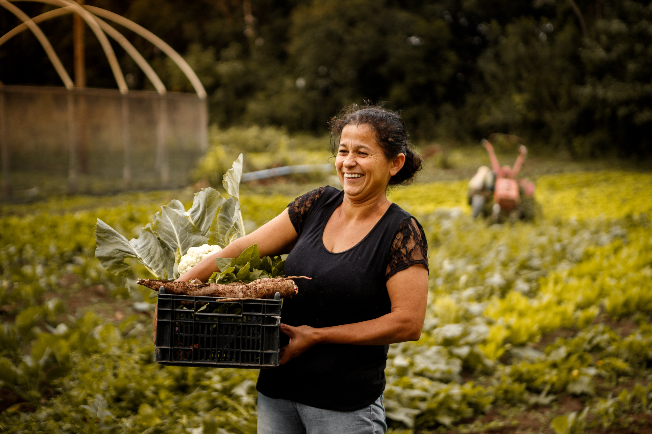 Alimentaire